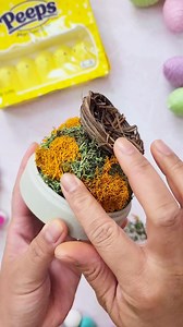 297 reactions · 58 shares | Add some PEEPSONALITY to your tabletop this spring with melodyinthemaking's PEEPS Cloche Centerpiece! Which color combo is your favorite? #LiveYourPEEPSONALITY | PEEPS | Facebook