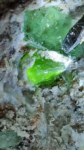 156K views · 2.1K reactions | Witness the brilliant, lime-green hue of this peridot crystal as it's carefully being revealed from its host rock! This vibrant gemstone is a treasure of the Earth, formed deep within and brought to the surface. What do you love most about the color green in gemstones? #Peridot #GreenGemstone #MineralSpecimen #GemMining #Olivine #CrystalHealing #VibrantGreen #EarthTreasures | SocialSphere Central | Facebook
