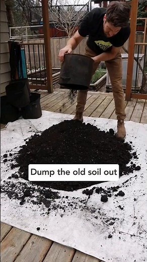 Growing in containers or grow bags? Try this! #containergardening #growbags #patiogardening