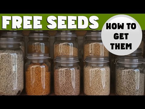 FREE SEEDS: 6 REALISTIC ways you can get FREE SEEDS for your vegetable & flower garden.
