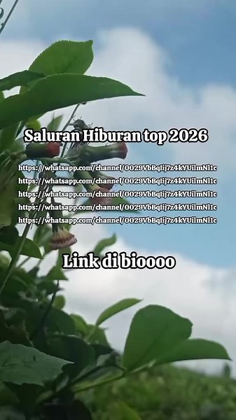 Akun Baru & Uc Browser #2026