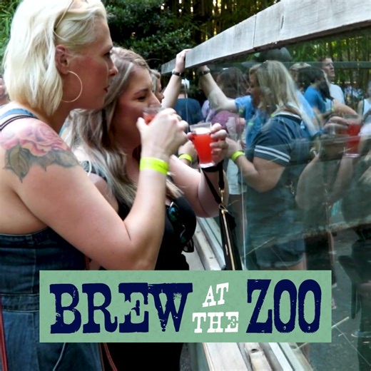 Have you snagged your tickets for Brew at the Zoo yet? Atlanta's wildest beer festival is taking place THIS Saturday 5/24, and it's the first chance to sample the Pink Flamboyance Lager from our friends over at SweetWater Brewing Company! This crisp brew boasts of smooth, floral and fresh flavors … and yes, it’s actually pink. Purchase tickets at the link below to check out Pink Flamboyance plus beer and wine samples from over 30 breweries! #OnlyZooATL https://zooatlanta.org/event/brew-at-the-zo