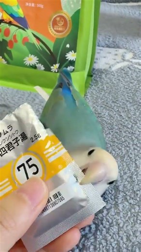 Cute Parrot Taste Test 🐦 | Satisfying Bird Eating #Shorts4567788
