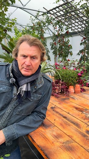 6.7K views · 75 reactions | Hairy bittercress spreads fast because...