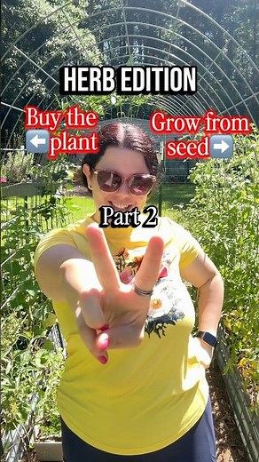 How to start an herb garden on a budget 🪴 read more below ⬇️