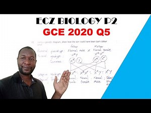 Biology paper 2 || GCE 2020 || Question 5 Answers
