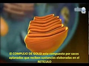 La célula (educar) subtitulado