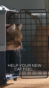 Welcoming a new furry friend? Help them feel epic with PERFECT FIT™, formulated to support their whole body health. | Perfect Fit Petfood