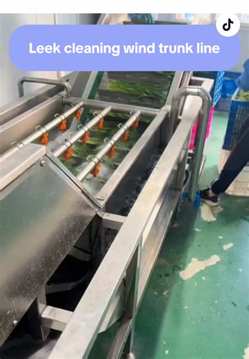 #Leek cleaning wind trunk line#Cleaning and air drying line#Leek cleaning machine#Fruit and vegetable cleaning and air drying assembly line#Physical factory