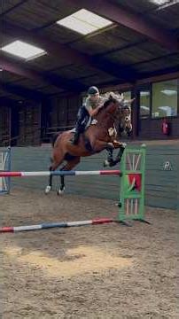 Jumping a dressage horse #horse #equestrianjourney #equestrian #horsetrack #horsetype #horsegirl
