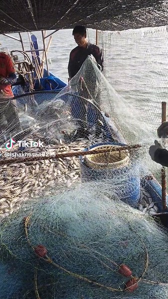 Fishing Techniques: Netting Fish on Calm Waters