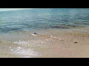 The 2004 Tsunami Changed My Life Forever - Here's What You Must Know