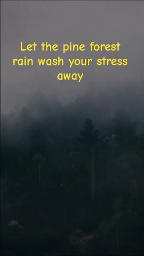 Black Screen Rain Sounds: No Ads, Just Pure Sleep #bedtime #rainsounds #relaxation