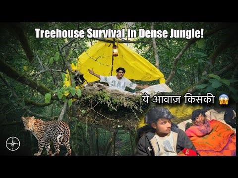 I Built A Suspension Tent On The Tallest Tree For 24 Hours | Surviving Above The Jungle