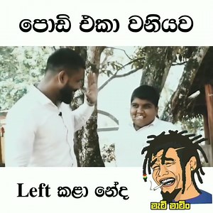 358K views · 7.3K reactions | 來來 Video credit goes to original owner  | Ceylon Cricket | Facebook