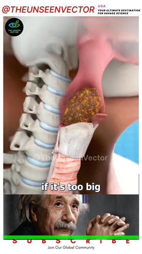 SIGMA PHYSICS TEACHER 🗿#shorts #physics #alberteinstein