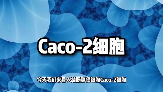 【百迪学堂】人结肠腺癌细胞Caco-2