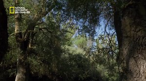 تتميز ثعالب الماء بتكيّف جسدي وفيزيولوجي عالي، يجعلها قادرة على الصيد في أنظمة البيئة المائية باحتراف! شاهدوا "صيادو البرية" يوم 26 فبراير، الساعة 8 مساءً بتوقيت الإمارات على ناشونال جيوغرافيك أبوظبي Due to their high physical and physiological adaptation, otters can hunt skillfully in marine ecosystems! Watch "Wild Hunters" on February 26, 8pm UAE, on National Geographic Abu Dhabi | National Geographic Abu Dhabi