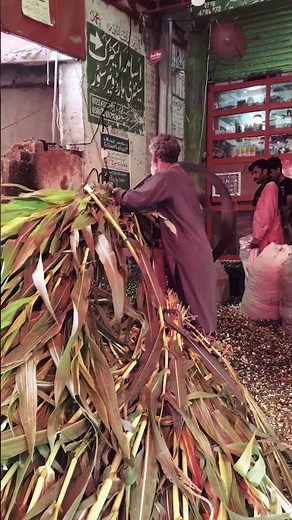 Amazing Agricultural Product Processing Machines in Action 🚜 | #Machines #Agriculture #Technology