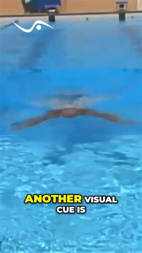 Seeing Dave's streamlined upper body before the kick shows how to swim faster. Keeping arms narrow in front also helps increase hand speed in the water. Have you tried this technique? #swimming #streamline #swim #fitness #exercise #water #sports | GoSwim.tv