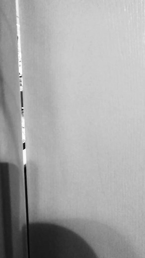 Unbelievable: Tiger in the Bathroom!