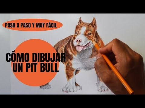 Cómo Dibujar Un Perro Pitbull Realista Paso a Paso