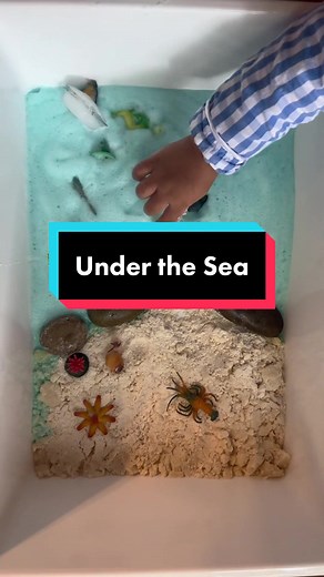 45-Minute Under the Sea Sensory Bin Play for Toddlers