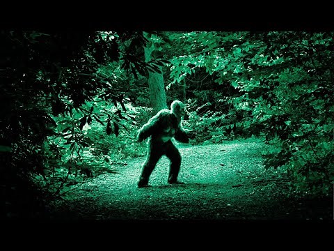 Bigfoot & Sasquatch 3 HOUR Ultimate Video Compilation | Unseen Footage and Sightings