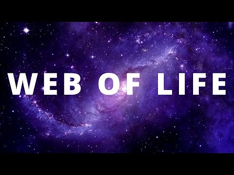 The Interconnectedness of Life - A New Paradigm