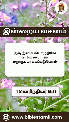 Daily Bible Verse ✝️ Follow us on @biblestamil For Online Bible Reading: www.biblestamil.com [bibleverseintamil , bibleverseofday , bibleverseofthday] | Bible தமிழ்