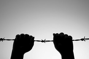 Asylum Policy - Migration Observatory