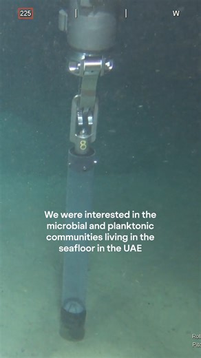 Operating an ROV thousands of meters below the ocean’s surface is no easy feat but our skilled pilots make it look effortless. From the OceanXplorer’s mission control, they delicately maneuver robotic arms to collect fragile samples that hold vast scientific value. During our UAE mission, our ROV collected push core samples from the seafloor, each layer of sediment a time capsule, offering clues about the ocean’s past and present. These layers of sediment hold clues about the ocean’s past and pr