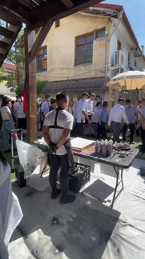 獻給蔡英文總統與貝尼亞總統的美麗畫作