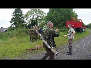 fox hunting Ireland!