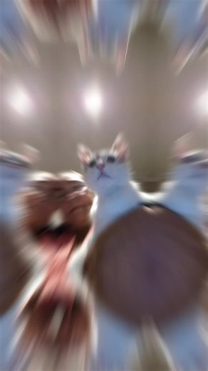 Videos de Laura Sanchez Navarro (@laura.sanchez.nav0) con “sonido original - Mike”