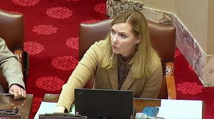 Ethics committee delays action on state Senator Nicole Mitchell until after next court date