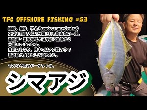 【シマアジ】旬の高級魚・シマアジを狙う。和歌山/黒龍丸 TFC offshore fishing #53