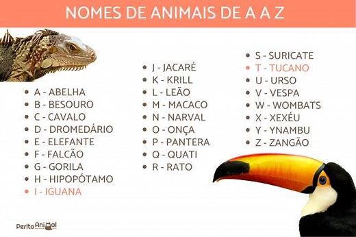 300 NOMES de ANIMAIS de A a Z