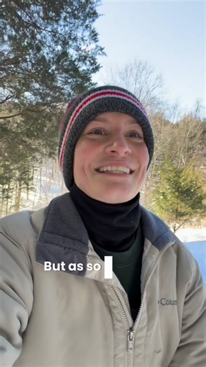 Collins Country on Instagram: "Maple Tapping: “Does tapping the trees too soon hurt the sap flow or the maple tree?” 🤔 #homesteading #maplesyrup #mapletapping #maplesyrupseason"