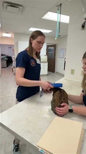 Skill 24: Scan Microchip