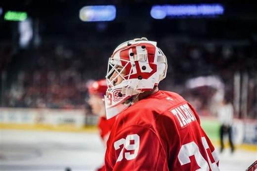 Red Wings Shake off Losses to Beat New Jersey Devils