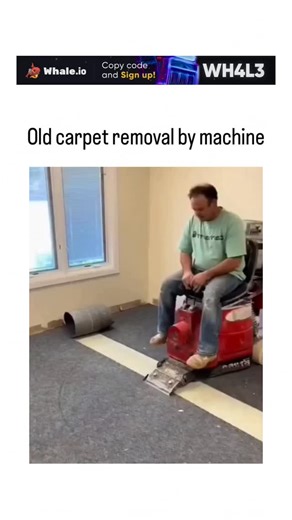 Elixo on Instagram: "- The post features a 16-second video demonstrating a ride-on floor scraper machine efficiently removing linoleum flooring in a commercial space, rolling it into neat cylinders while leaving a clean subfloor, though mislabeled as “carpet” by the author. - This battery-powered tool, similar to models like the Terminator Infinity, uses adjustable blades to strip adhesives, tiles, or vinyl without chemicals, reducing manual labor from hours to minutes and minimizing dust compar