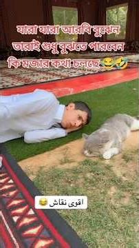 Arabic man and cat funny talk