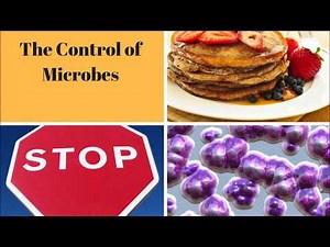 Control of Microbial Growth