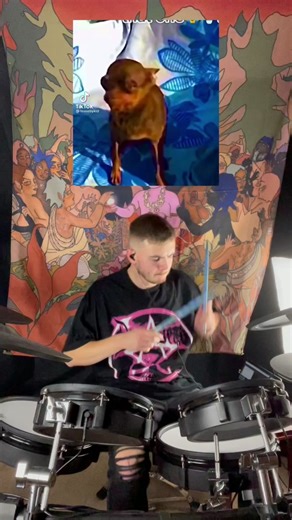 Energetic Metalhead Dog Giving Its All