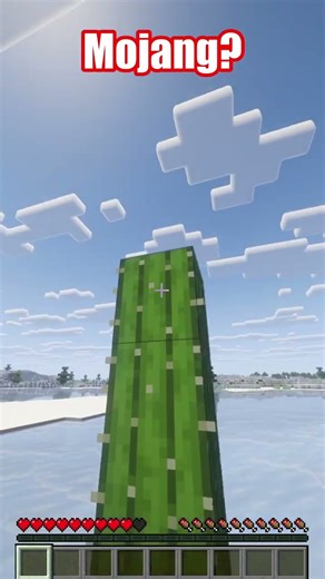 Mojang what is this? #minecraft #mojang #gaming