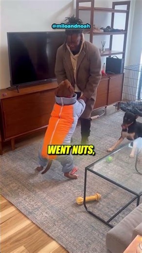 Dog Meets His Dream Horse for the First Time 😭