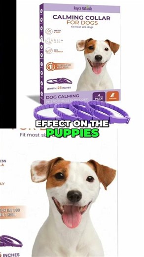 Dog Anxiety Relief Calming Chews & Collars Explained!