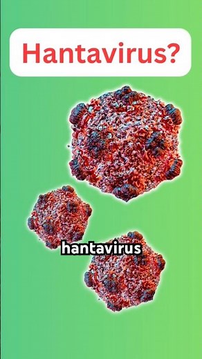 What is Hantavirus? (Deadly Rodent Virus Explained)