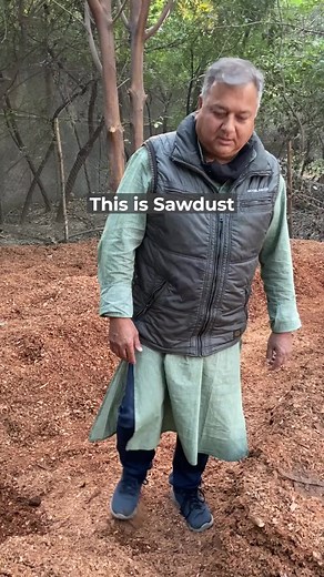 How to use sawdust in tree planting? | Give Me Trees Trust